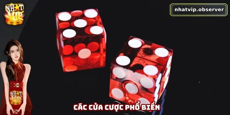 Tài Xỉu Online – Hướng Dẫn Cách Chơi Và Mẹo Thắng Lớn Tại Nhatvip 3 Các cửa cược phổ biến
