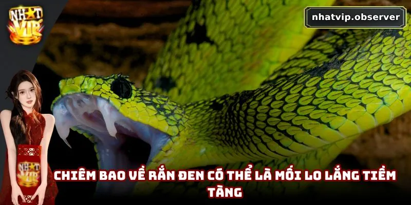 Mơ Thấy Rắn Là Xui Xẻo Hay May Mắn | Giải Mã Theo Dân Gian 3 Chiêm bao về rắn đen có thể là mối lo lắng tiềm tàng