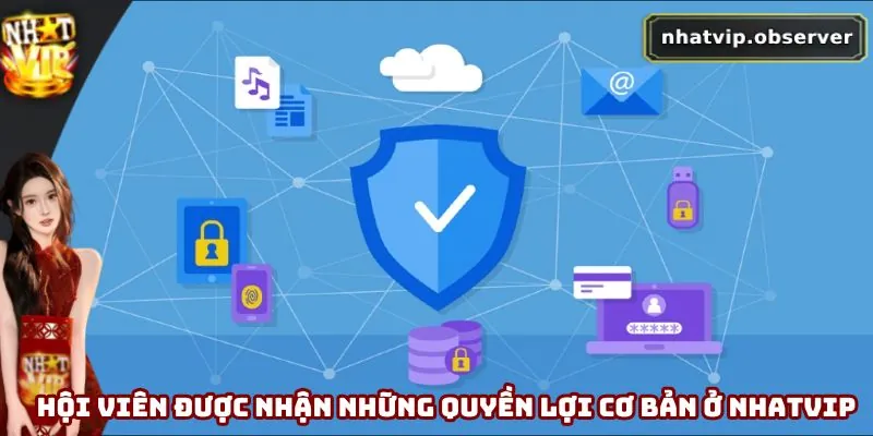 Quyền Riêng Tư Nhatvip - Cập Nhật Chính Sách Mới Nhất 2025 2 Hội viên được nhận những quyền lợi cơ bản ở Nhatvip